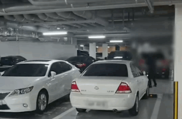 김포 한 아파트 지하주차장에서 입주민으로 추정되는 남성이 주차된 차들 사이에서 테니스를 연습하고 있다. /사진=온라인 커뮤니티