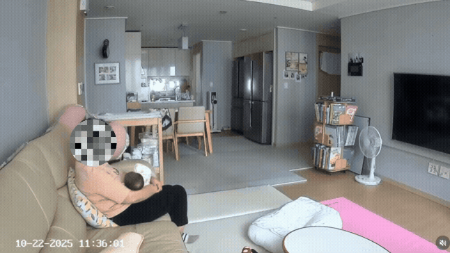 온라인 커뮤니티 보배드림