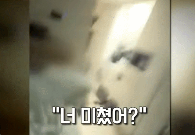 헤어진 여자친구와 싸우던 남성이 반려견을 던지는 모습이 공개됐다./영상=JTBC '사건반장'