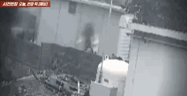 제주 식당을 오가며 먹튀 행각을 벌이는 청소년 무리들 모습. /사진=JTBC 사건반장 갈무리