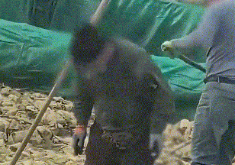 사진=SNS 갈무리