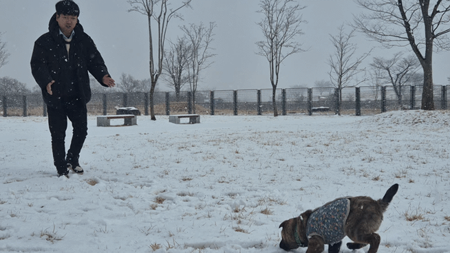 지난 2일 전남 나주 반려견 놀이터에서 뛰어 노는 울프와 정명균씨 모습. 이날 눈이 많이 내렸으나 울프는 신이 난 듯 이리저리 뛰어다녔다. /사진=박진호 기자.