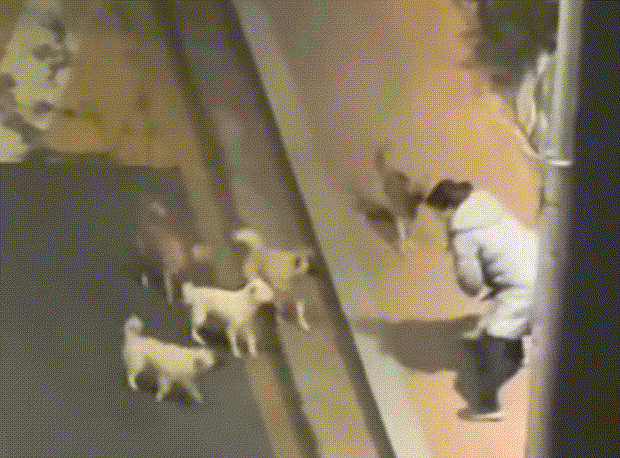 사진=온라인 커뮤니티