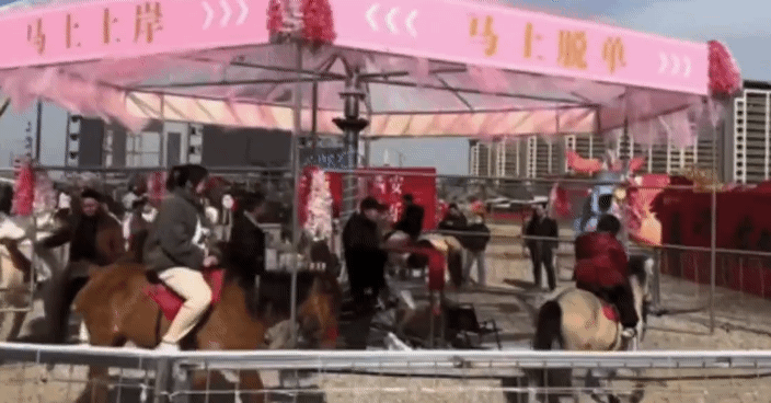 중국 북서부 산시성 시안의 한 관광지에서는 지난 6일 살아있는 말을 이용한 이른바 '회전 활마'를 선보였다가 동물 학대 논란이 일자 운영을 중단했다. /영상=더우인