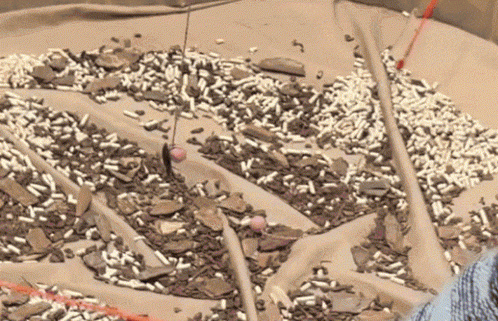 사진=SNS 갈무리