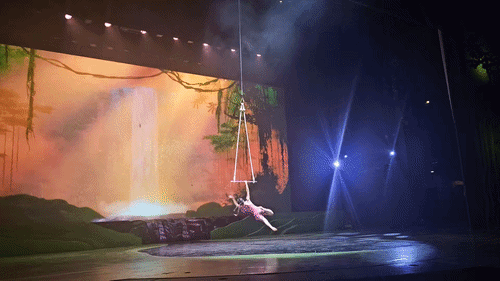 엘로와즈 서커스 아티스트들이 '윙즈 오브 메모리'  공연에서 퍼포먼스를 선보이는 모습. / 영상 = 오진영 기자