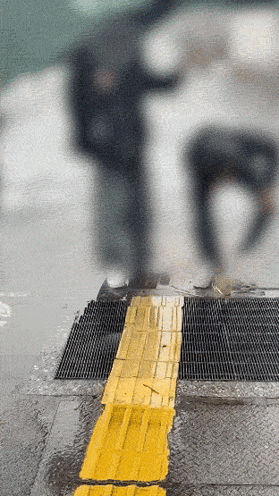  한국인 가족이 일본 여행 중 하수구에 갇힌 새를 구조한 사연이 알려지며 양국에서 따뜻한 반응이 이어지고 있다./영상=인스타그램