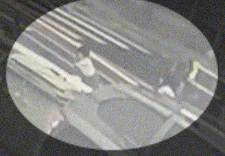 50대 장모 시신이 든 캐리어를 끌고 가는 20대 사위와 뒤따르는 20대 딸 모습. /영상=뉴시스