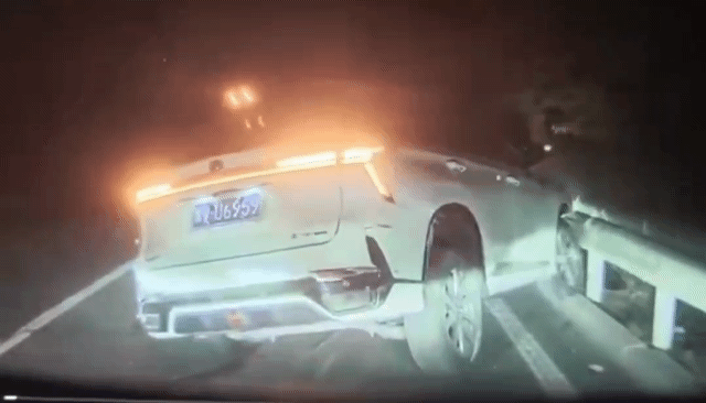 시야 확보가 불가능한 상황에서도 사고를 방지한 테슬라 전기차의 자율주행(FSD) 영상이 화제를 모으고 있다./영상=엑스(X·옛트위터)