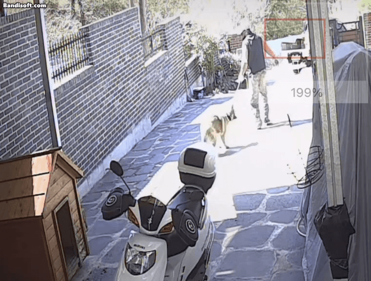 /영상=인스타그램 캡처