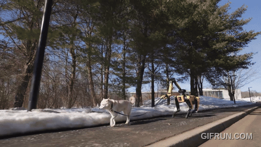 보스턴다이나믹스의 4족 보행 로봇 '스팟(Spot)'이 강아지 산책을 해주는 모습/사진= 보스턴다이나믹스 유튜브