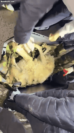 /영상=대전시 인스타그램 캡처