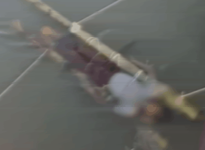 인도의 한 가족이 독사에 물린 13세 소년을 병원에 데려가지 않고 미신적 의식을 행하다가 숨지게 한 사건이 발생했다. /사진=SNS 캡처