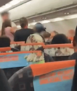 지난달 29일 런던 개트윅 공항을 출발해 튀르키예 안탈리아로 향하던 영국 저가 항공사 이지젯 항공편에서 한 여성이 다른 승객에게 달려드는 모습이 담긴 영상. /사진=더 선
