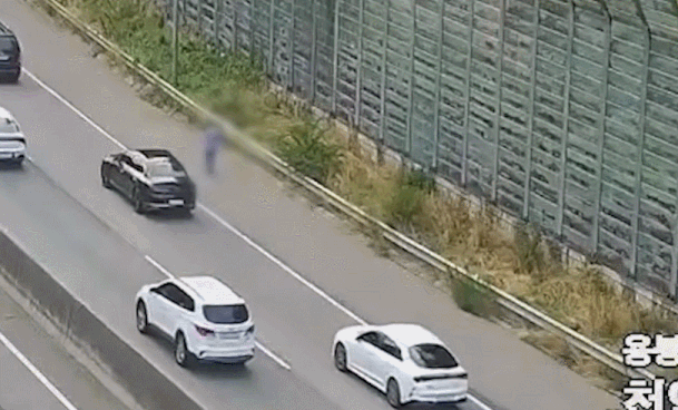 고속도로를 위태롭게 배회하던 60대 중증 장애인이 시민과 경찰의 신속한 대응으로 무사히 구조됐다./영상=유튜브 채널 '경찰청'