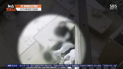사건은 피해 아동 부모가 아이 얼굴에 남은 따귀 자국을 발견한 뒤 어린이집 측에 폐쇄회로(CC)TV 확인을 요청하면서 드러났다. CCTV에는 A씨가 원생들을 때리는 장면이 담겨 있었고, 부모는 A씨를 아동학대로 경찰에 신고했다. /사진= SBS '뉴스헌터스'
