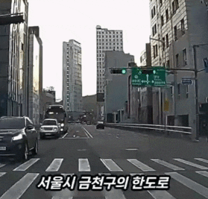 차량 통행이 많은 왕복 6차선 도로에서 한 중년 남성이 보행신호를 무시한 채 차도를 가로질러 걷는 모습이 담긴 블랙박스 영상이 온라인에서 확산하며 논란이 되고 있다. /사진=뉴스1
