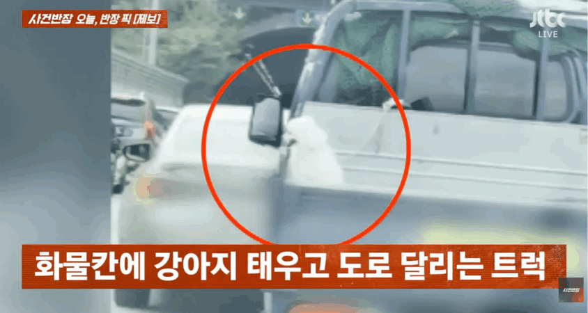 최고 기온 40도에 육박하는 극한 폭염 속 트럭 화물칸에 강아지들을 위태롭게 태운 채 주행하는 차량의 모습이 잇따라 포착돼 논란이다. /사진=JTBC '사건반장' 캡처