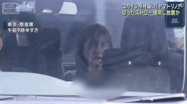 한 달 매출 20억을 올리는 일본 유명 접대부 야마토 리노(본명 다자와 리노, 27)./영상=ANN뉴스