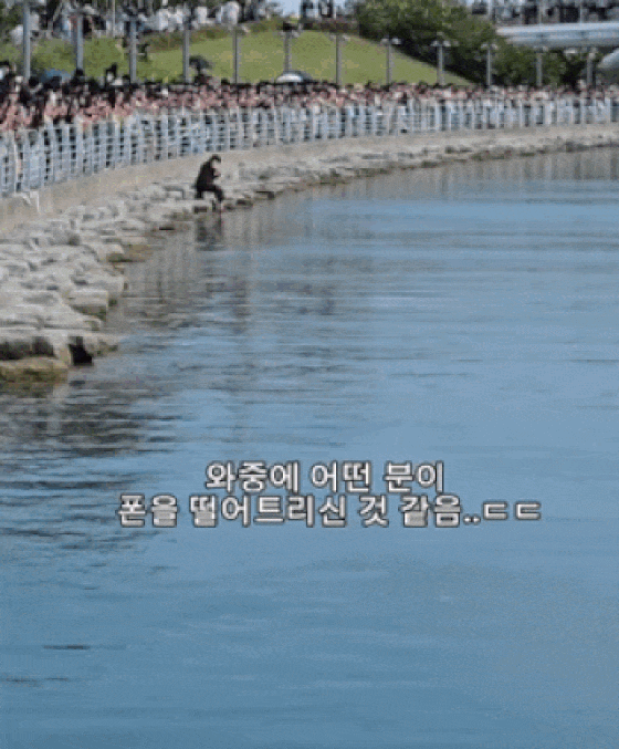 부산 북항친수공원 수로에 출몰한 상어를 촬영하다 휴대전화를 빠뜨린 한 시민이 이를 찾기 위해 수로 가장자리로 내려가 물속을 살피고 나오자 상어가 나타난 상황. /사진=온라인 커뮤니티 갈무리