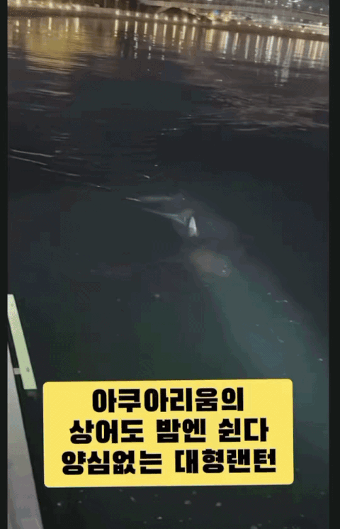 밤새 부캉이가 괴롭힘 당한다며 자중하자는 목소리가 나왔다./사진=스레드 캡쳐(@uru00hotock)