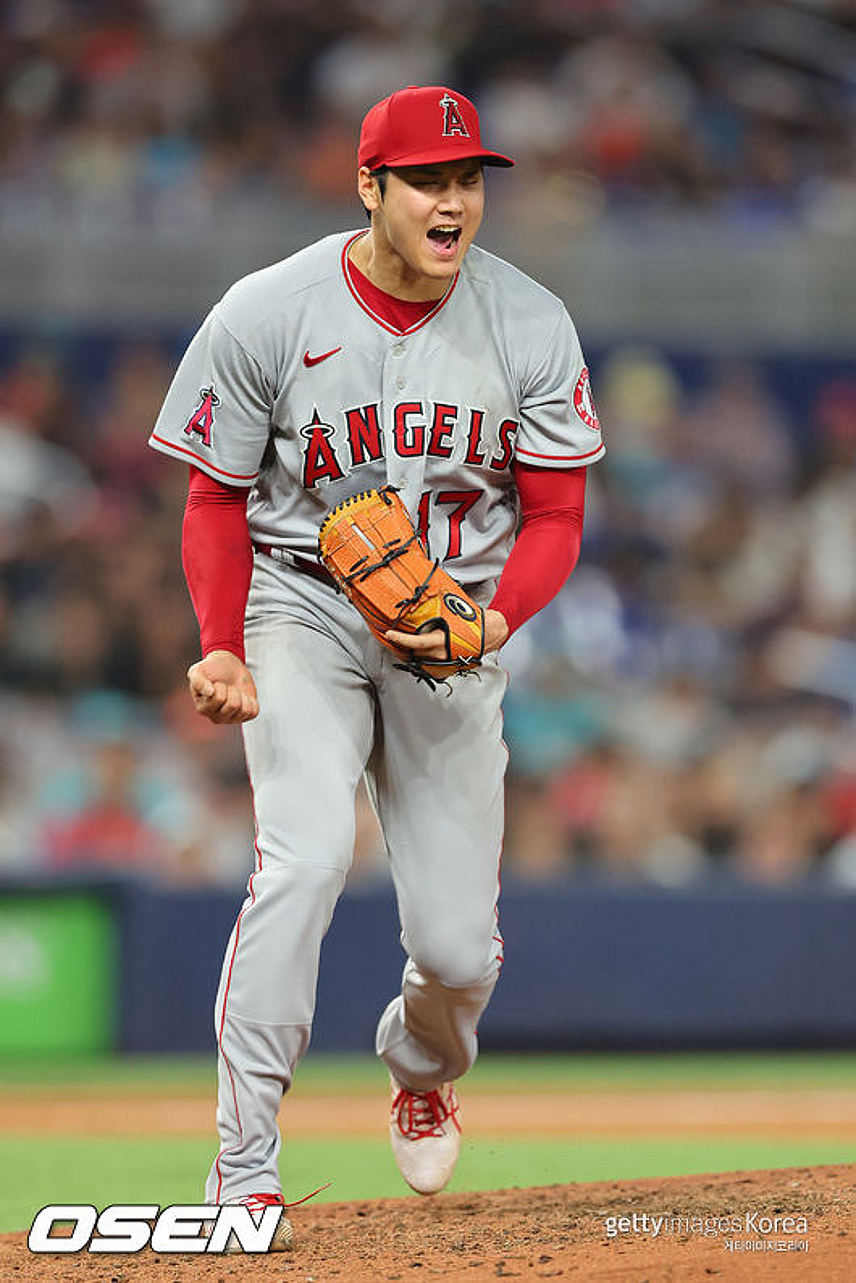 숙소 코앞이 해변 축제…유혹 뿌리친 MVP, 금욕으로 이뤄낸 10K+2타점 - 머니투데이