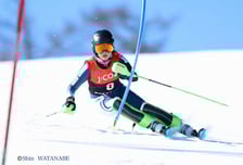 "땀방울의 가치에 주목하고 싶다" 서울시선수단, 제107회 전국동계체육대회 종합 2위 달성