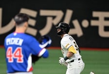 WBSC 랭킹 2위인데, 대만의 충격적인 1패…"프리미어12 챔피언이 호주에 패배, 팬들도 한숨"