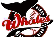 내야 5000원·외야 4000원…울산 웨일즈 티켓 정책 공개