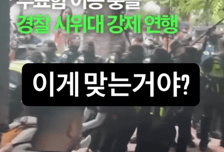 UFC 파이터 정다운의 소신, 6·3 지방선거 논란에 "이게 맞나?" 의문...현충일엔 태극기 "우리가 어디서 왔는지를 모른다면"
