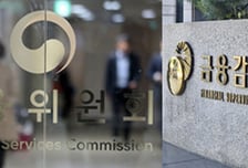 폭풍전야, 금융지주 지배구조