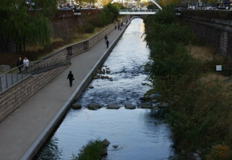 시장1번지 청계천 재테크
