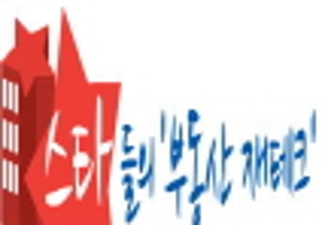 스타들의 '부동산재테크'