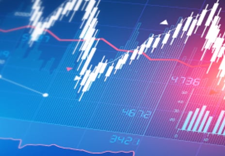 거대한 투기판 사설 장외사이트