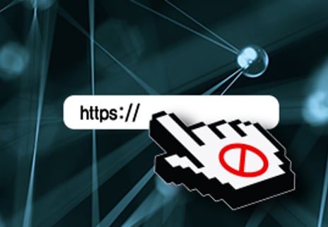 https의 정치사회학