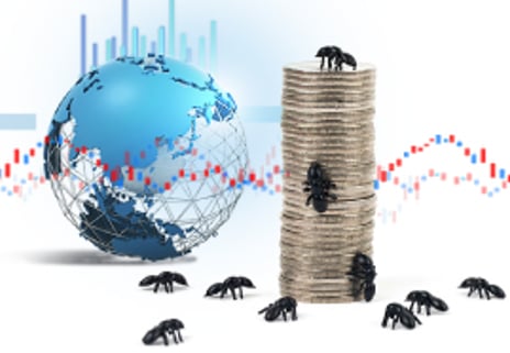 동학개미운동 명과암