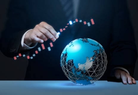 코로나19에 비행기 탄 개미들