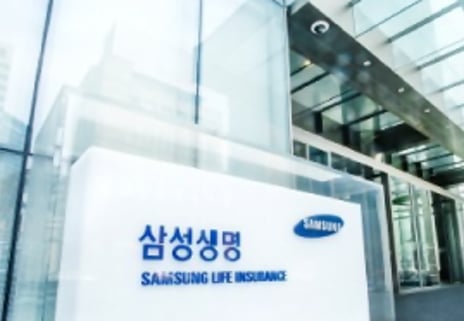 삼성생명법이 뭐길래
