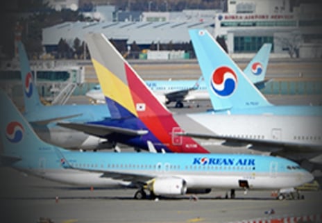 1년째 날개 못편 '메가 항공사'