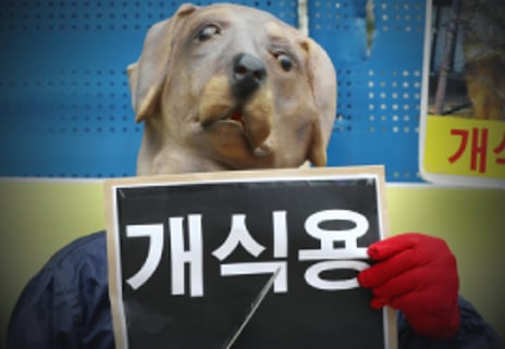 복날은 간다