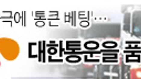 대한통운 인수전 CJ의 역전승