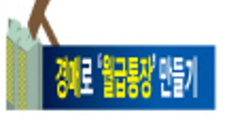 부동산경매로 '월급통장' 만들기