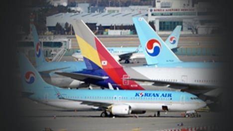 1년째 날개 못편 '메가 항공사'