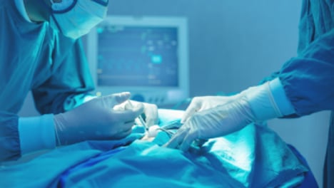 무엇이 대형병원 간호사를 죽였나