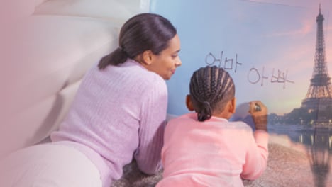 교육으로 번진 프랑스 한류