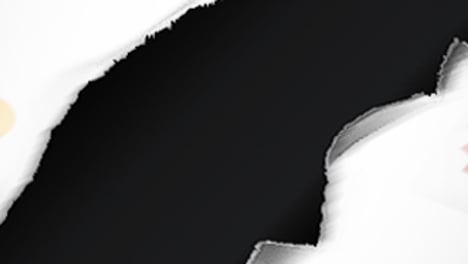 제조-유통 전쟁 1년, 화해에서 독립으로