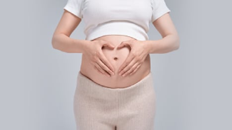 제왕절개 공화국