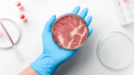 K-배양육 시대 개막