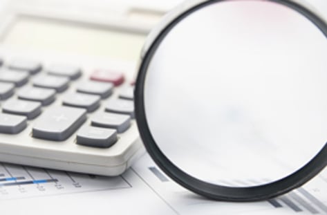 책임없는 유한책임회사