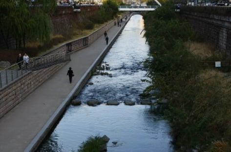 시장1번지 청계천 재테크